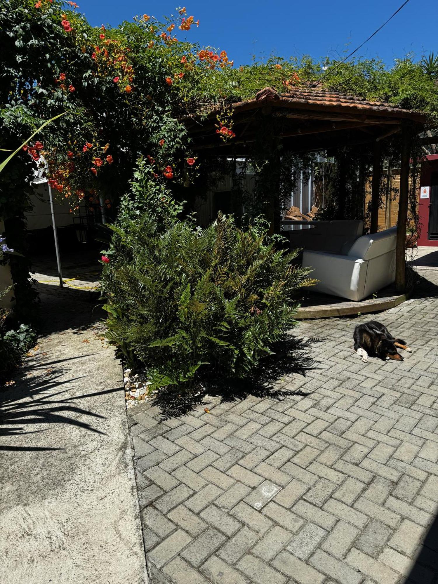 Pousada Upserra Urubici Exteriör bild